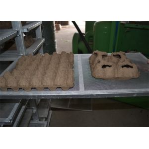 Professional Paper Egg Tray Making Machine Computer Controlled 2000pcs/h