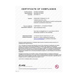 Shenzhen Topband Battery Co., Ltd Certifications