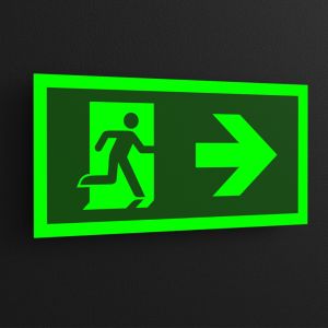 Self Luminous Emergency Photoluminescent Exit Signs Code Custom