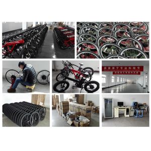 Changzhou Ncyclebike Co., Ltd