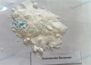 China Injectable Testosterone Decanoate Powder for Promote Male Hormone And Protein Synthesis wholesale