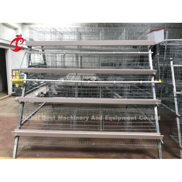 Galvanized A Type Chicken Farming Cage System 20 Years Lifespan Doris