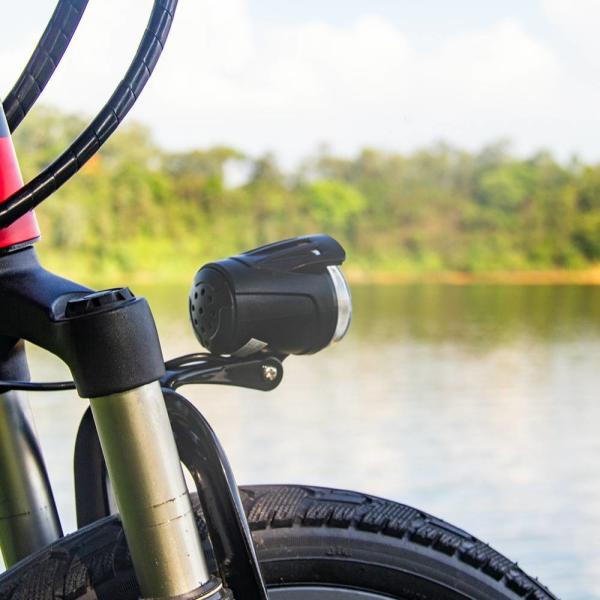 Portable 20 Inch Folding Electric Bike 48v Lithium Battery Top 730