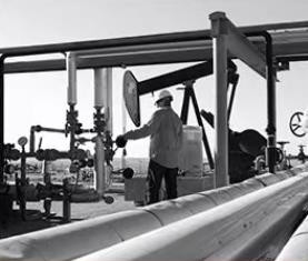 SS 304 Reusable Metal Cable Ties 4.5*550mm OEM