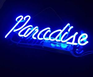 China Neon Signs Blue Paradise Beer Bar Bedroom Neon Light Handmade Glass Neon Lights Sign for Bedroom Office Hotel Pub Cafe R on sale