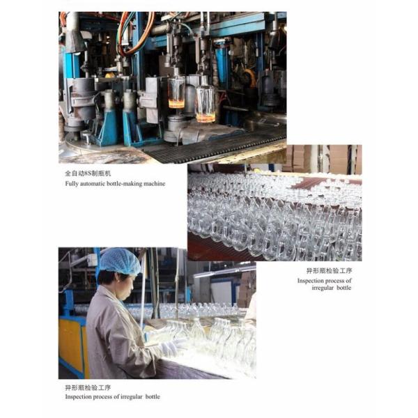 Luxury Embossing 750 ML Cognac Glass Bottle