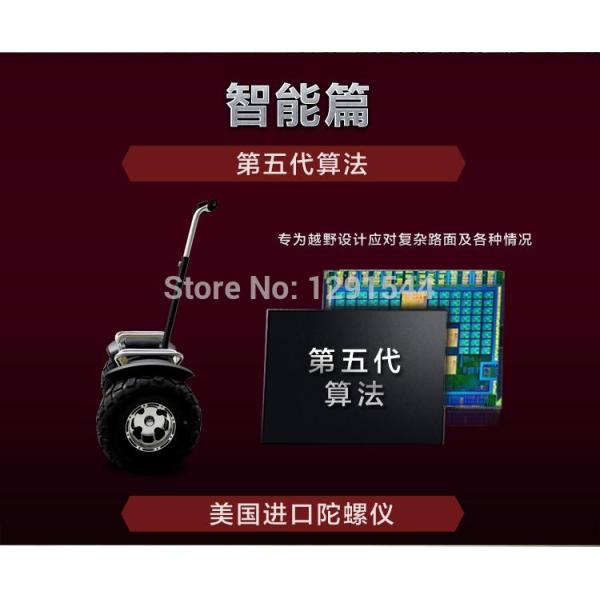 China Electric Scooter factory Manufacturer Supplier Self Balancing Two Wheel Segway Big Wheel Scooter