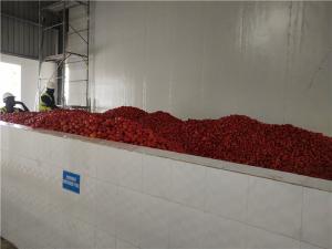 China SGS Tomato Processing Line 2000T/D Concentrating Ketchup Processing Line wholesale