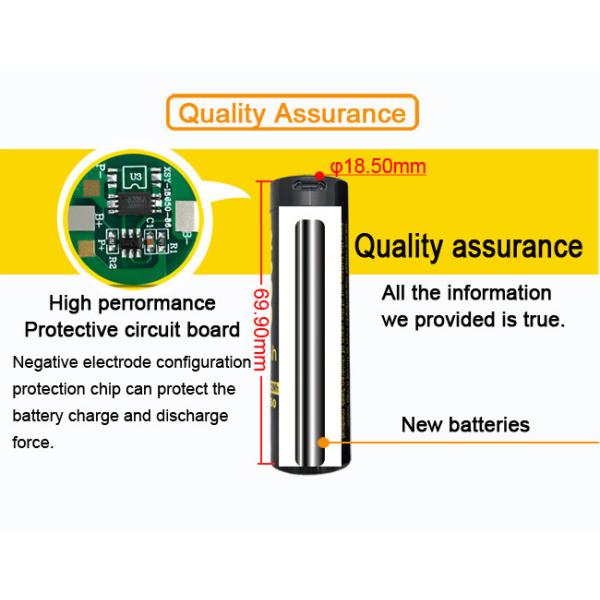 Fast Charging Li Ion Rechargeable Batteries 2900mAh With USB Type C Port OEM
