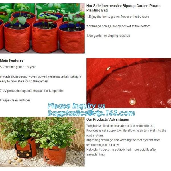 customized waterproof green pe car protector,environmental firendly, car boot liner, reusable, durable,economical,sample