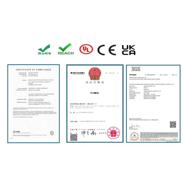 Custom 12 AWG Automotive Wire Harness with ATC ATO Connector and 100% Testing Inspection