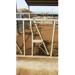 China Customized Hot Galvanized Cow Head Lock Farm Feeding Equipment wholesale
