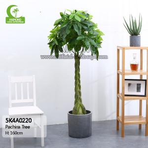 China All Season 160cm Height Braided Artificial Money Tree Plant Indoor on sale