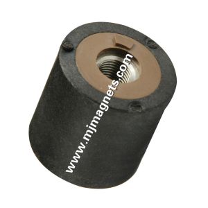 China plastic Injection bonded neodymium magnet wholesale