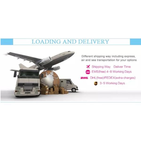 summer women open hot sexy girl photo chiffon blouse women top