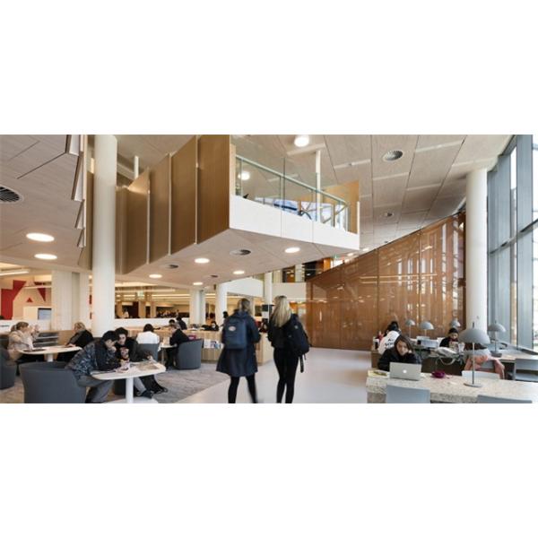 Balustrade Mesh Laminated Glass With Mesh Inside For Skylights