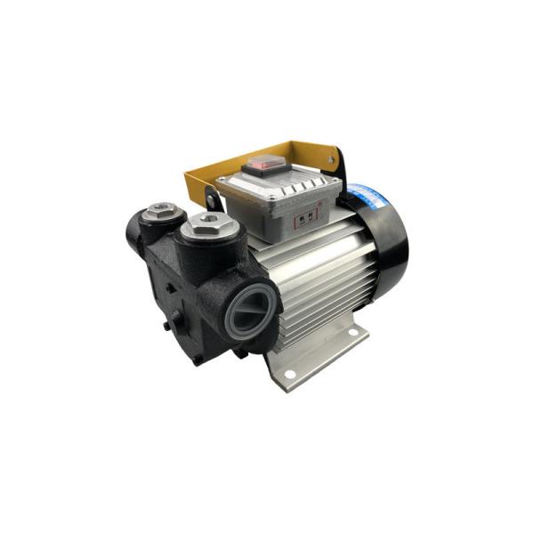 High Flow Compact Electric Oil Diesel Pumps 220V 60L/Min