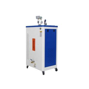 China Compact Size Portable Electric Steam Generator Safety Science Structure wholesale
