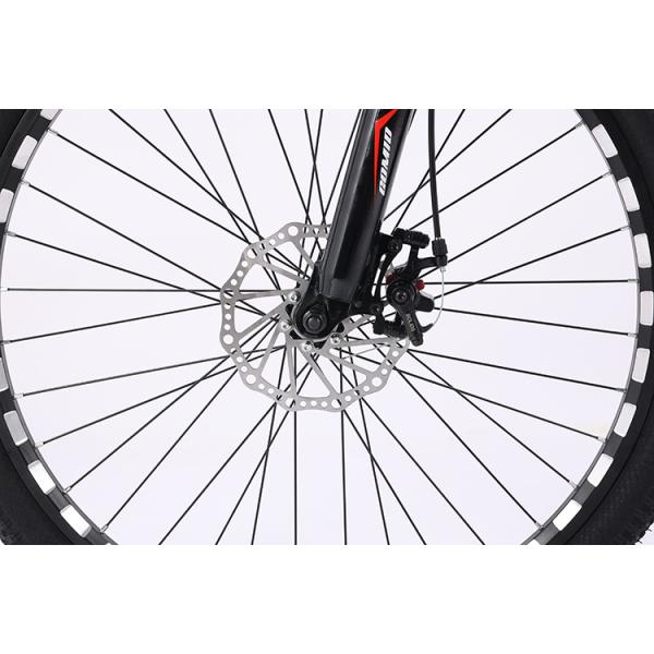 29 Inch carbon steel Bicycle Mountain Bike Adult Customized Rim Material aluminum alloy