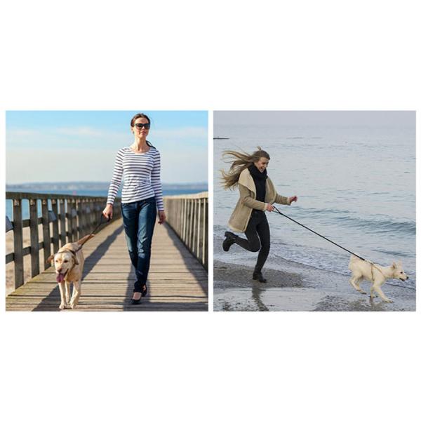 Tie Out Cable For Dogs