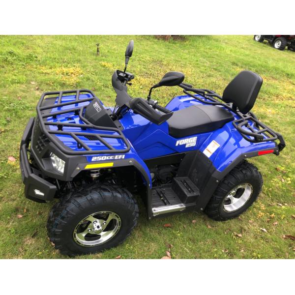 1000W Single-cylinder Water-cooled Engine Two-drive Chain Drive Hisun 250cc ATV with 1