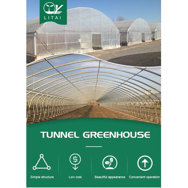 3m High Agricultural Poly Tunnel Greenhouse Transparent Colour Customizable Height