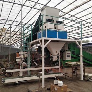 China ISO Approved Dual Screw 25kg Animal Feed Packing Machine wholesale