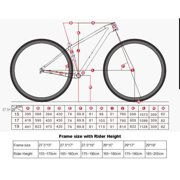 T900 Carbon Fiber MTB Frame