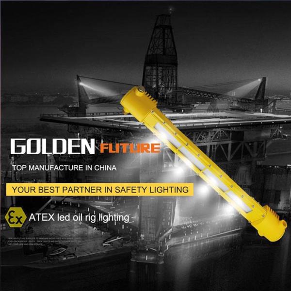 Aluminium Alloy LED Explosion Proof Light Flame Proof Lamp ATEX Certification