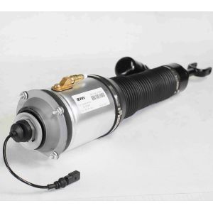 Bentley Continental Automobile Shock Absorber Spring Strut 3D0616040D