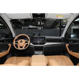 Weima W6 New Energy Weltmeister Medium Full Electric SUVs 160kW