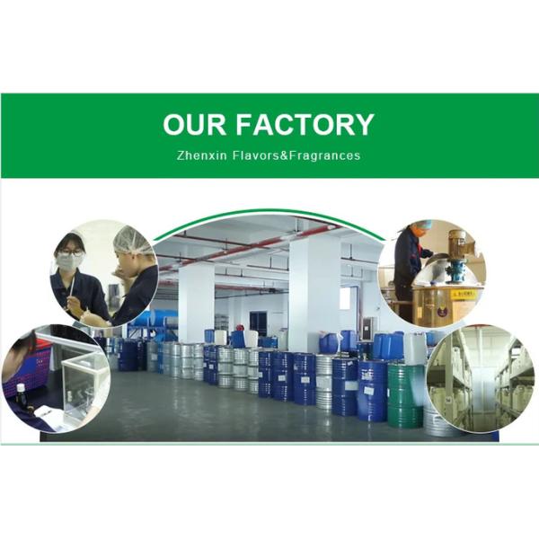 Concentrated Aroma Chemic Fragarnce and Scent Mint Scented Oil in Bottle for Aromatherapy Diffusers