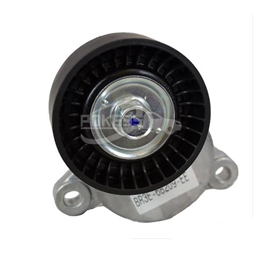 BR3Z6B209E BT118 BR3E6B209EE 5233310 Belt Tensioner Pulley For Ford Raptor 2015-2017 3.5
