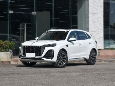 5209*2010*1731mm Size 2023 Hongqi E-HS9 510KM Electric SUV for and Sporty Design