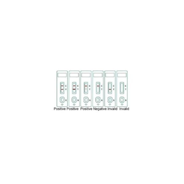 CDV Canine Distemper Virus Pet Rapid Test Kit 10Tests/Kit GMP ISO9001