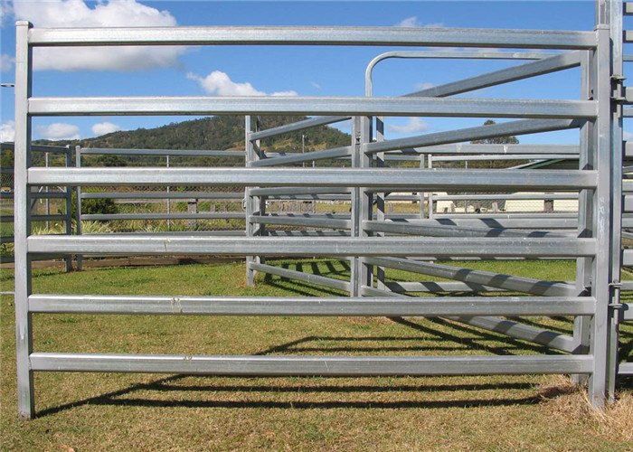 China Custom Size Livestock Portable Cattle Fence Panels Square / Round / Oval Shape wholesale