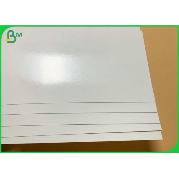 210g 300g PE Coated Paper White Card For Making Pizza Box Oilproof 210g 300g PE Coated Paper White Card For Making Pizza Box Oilproof