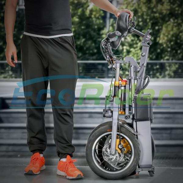 Quality New Design Foldable Electric Scooter Three Wheels 48V 250W Folding Electric Bike for sale