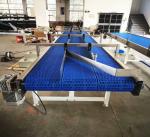 Blue Automated Conveyor Systems With More Lanes For Industry Production Needs