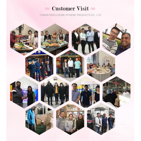 Disposable S.M.L Fluff Pulp Period Panties for Heavy Flow OEM ODM Menstrual Underwear