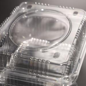 China Rectangular PET Disposable Food Containers for Multiple Uses wholesale