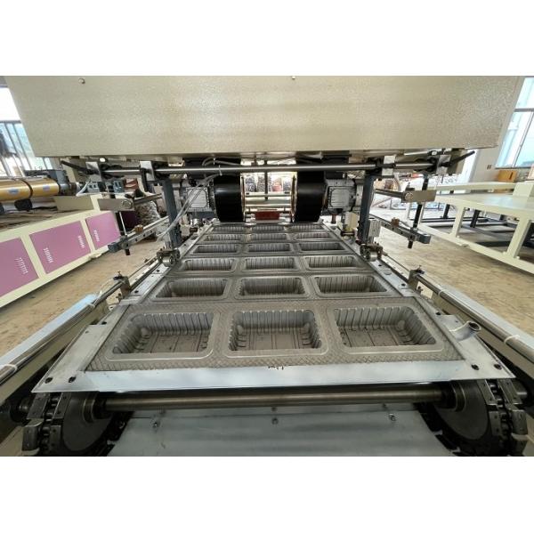 Single Screw Extrusion Automatic Blister Machine Frozen Tray Food Packaging Box Making Machine