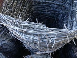 12 *14 * 3  Cold Dipped Galvanized Point Barbed Wire / Pvc Coated Barbed Wire