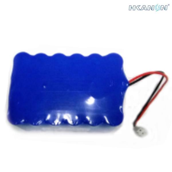 Lithium Ion Polymer 12v Battery Packs , 12v Rechargeable Li Ion Battery