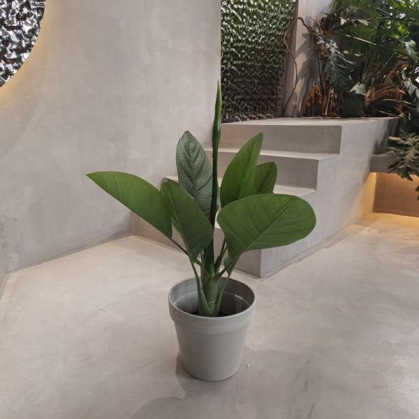 Vibrant Eco Friendly Plastic Garden Pots Waterproof 250*175*230MM