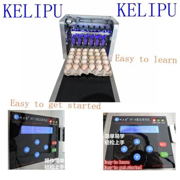 Automatic Egg Code Printing Machine , Small Character Inkjet Coder For Eggs