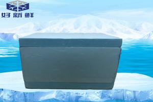 China Custom Vaccine Miniaturization Medical Xps Insulation Board Cooler Box Rigid Foam wholesale