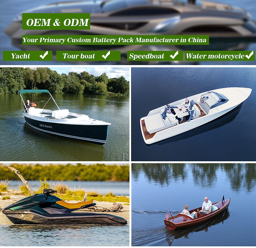 Cts Popular 307V 50ah 100ah 150ah LiFePO4 Lithium Battery for Electric Boat Yacht with IP67