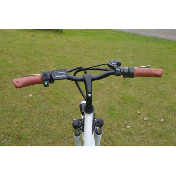 26" Wheel City Commuter Electric Bike 36V 250W 25km/H