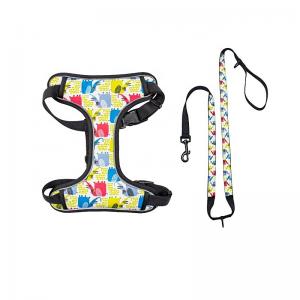 China Quick Snap Design Reflective Puppy Harness Soft Dog Harnesses With Leashes Set on sale